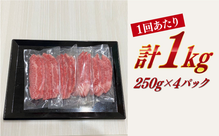 【全3回定期便】長崎和牛（A4ランク以上）カルビ焼肉用1kg[RCE014] 長崎和牛 焼肉 定期便 長崎和牛 焼肉 定期便 長崎和牛 焼肉 定期便 長崎和牛 焼肉 定期便九州 長崎