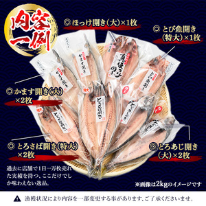 干物 大きめ 約2kg 詰め合わせ 干物【みのだ食品】No.406-A