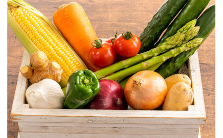 おまかせ野菜セット 2?3人分 約 5kg | 野菜 やさい 旬 の 野菜 長野県 塩尻市