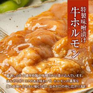 【４日以内発送】特製味噌漬け牛ホルモン大容量 1kg(500g×2)【配送不可：離島】◆もつ ホルモン 牛肉 焼肉 ビール 小腸 小分け ホルモン 