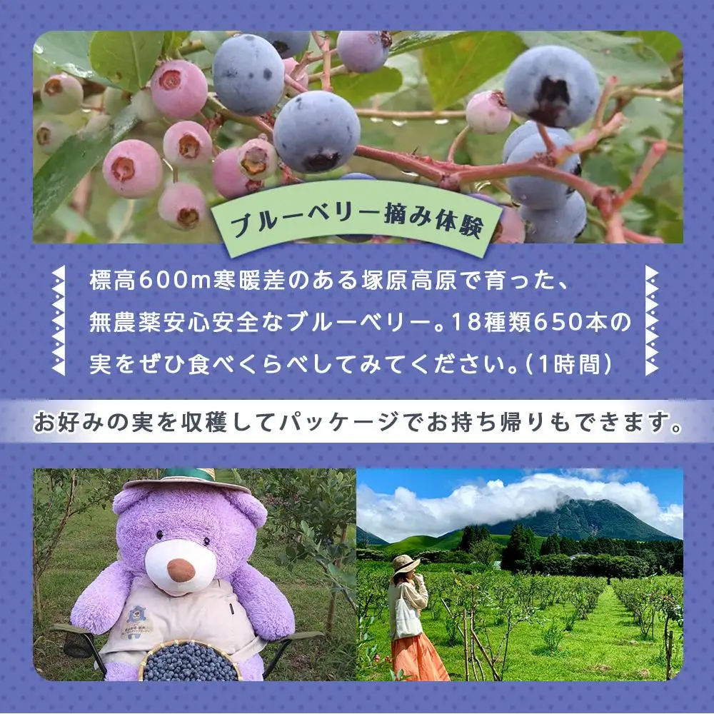 【湯布院 熊谷牧場・雛戸】施設内なんでも使える！ブルーベリー・キャンプガーデン ご利用補助券 9,000円分