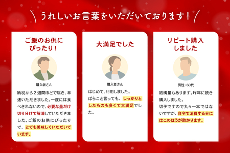 訳あり 辛子明太子 バラ子切れ子（500g×4パック）　 ひとくちサイズ 不揃い つまみ おつまみ ごはんのお供 惣菜 おかず パスタ お茶漬け 珍味 海鮮 海産物 海の幸 魚介 魚介類 訳あり 訳アリ わけあり おせち　R002-020