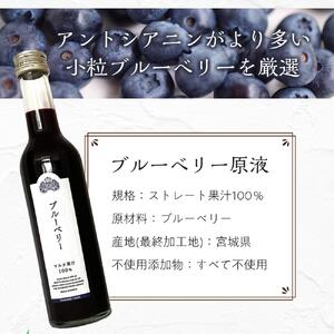 ブルーベリー原液　300ml×2本詰