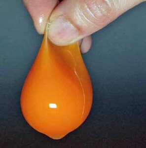2週間以内に発送 きれいな水で育てた卵 赤たまご 青たまご（ アローカナ ）ミックス 各10個 計20個  | 保坂農場