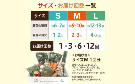 綾町旬野菜ギフト（Sサイズ / 約6-7種）1～2人分/ 野菜 朝どれ 無農薬 減農薬 栽培期間中 有機栽培 産地直送 新鮮 旬 詰め合わせ サラダ 果物 きのこ類 やさい 送料無料 【オーガニックのまち 宮崎県綾町】_A0004-100