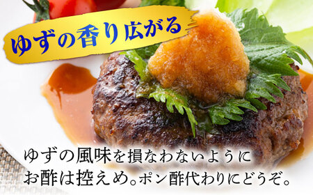 最高級 味噌醤油醸造元「日田醤油」 天然ゆず醤油 500ml×2本 大分県 日田市 調味料 醤油 [ARAJ018] 