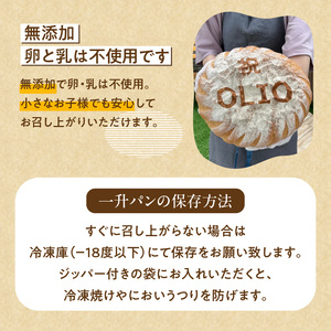 一歳のお祝いや記念日にオーリオの無添加『一升パン』_一歳のお祝いや記念日にオーリオの無添加『一升パン』 お取り寄せ お取り寄せグルメ 送料無料 〔Cx236〕