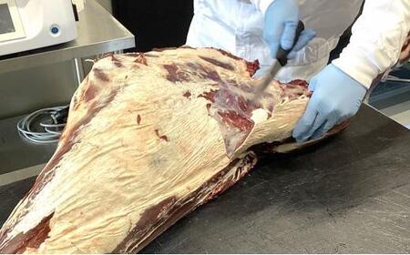 北海道 標茶町産 エゾ 鹿肉 骨付きかた肉 約2kg　| 鹿肉
