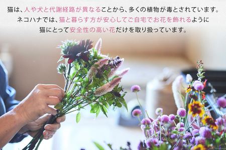 花束 ネコハナ 電子ギフトコード 3,000円分 [ネコハナ 埼玉県 小川町 260]
