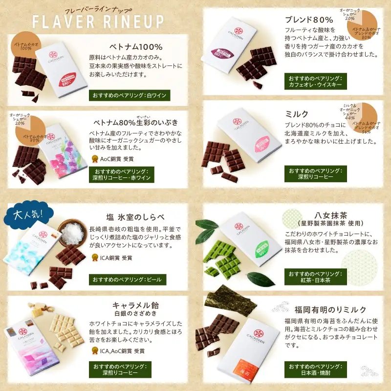 カカオ研究所のチョコレートセット(13枚)【E-089】