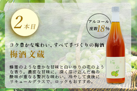 たらぎの 梅酒 セット 720ml × 2本 ≪古代 梅酒≫≪ 梅酒 文蔵≫ 球磨焼酎 多良木町 米 焼酎 梅 うめ酒 お酒 球磨 贈り物 ギフト 熊本県 多良木町 015-0689