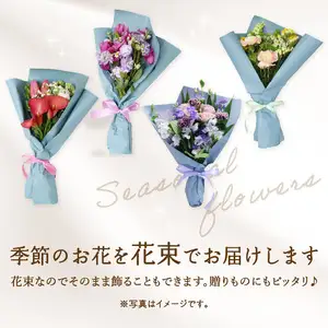 【毎月お届け定期便】季節の花束 旬のお花をお届けします ≪12回お届け≫ T10054