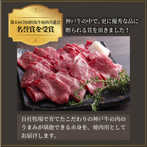 神戸牛赤身焼肉(500g)《 肉 牛肉赤身 神戸牛 焼肉 国産 バーベキュー 和牛美味しい プレゼント ギフト 赤身肉 お取り寄せ 送料無料 おすすめ 》【2402A00109】