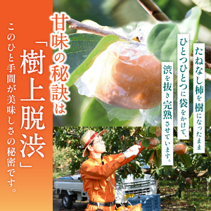 柿 カキエモン農園の紀の川柿 約5kg 18個前後 【2026年10月中旬～11月下旬頃順次発送】/ 果物 くだもの フルーツ 柿 かき 和歌山 人気 送料無料【BX001-kkem001A】