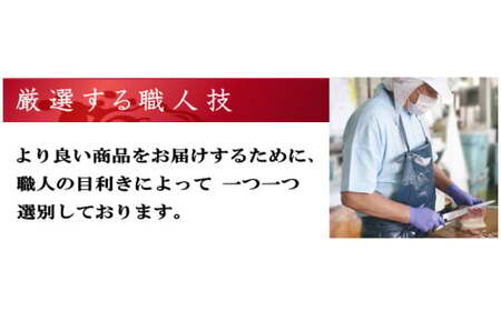 【7営業日以内発送】さえずりブロック100×6個セット ／ 鯨 くじら クジラ 鯨刺身 鯨肉 鯨文化 くじら文化 ミンク鯨 長崎県 長崎市