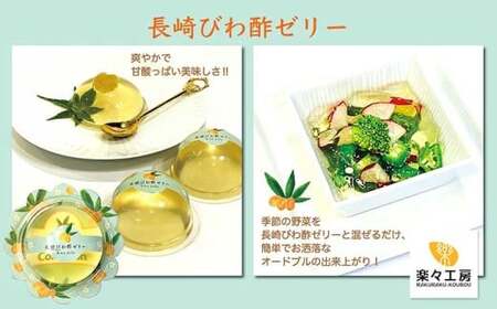 【7営業日以内発送】長崎びわ酢（2本）・びわ酢ゼリー（3個） セット ／ びわ フルーツ酢 飲む酢