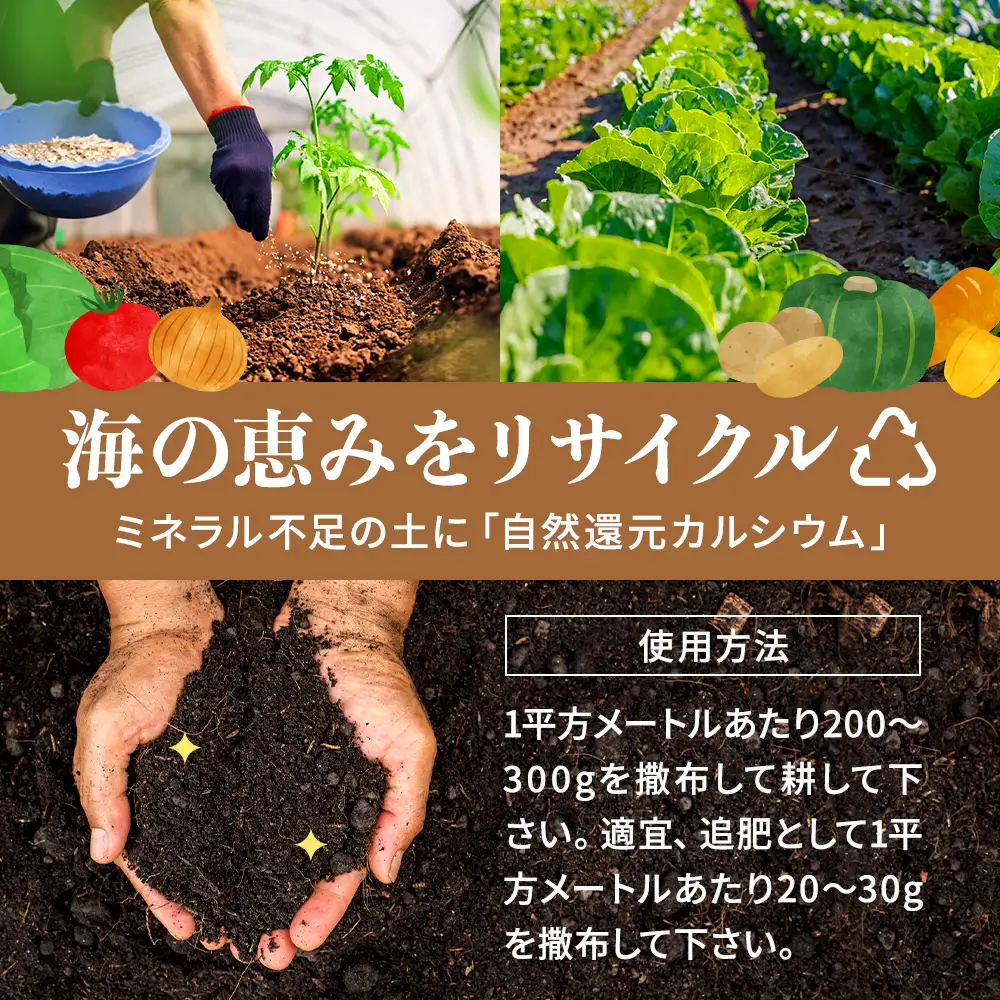 ホタテ貝殻肥料【自然還元カルシウム。ほたっちょマン】10kg　天然素材 アルカリ リサイクル【AS001】