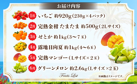 《2027年発送先行予約》【数量・期間限定】旬のフルーツ6ヶ月定期便vol.2 定期便 フルーツ くだもの 果物