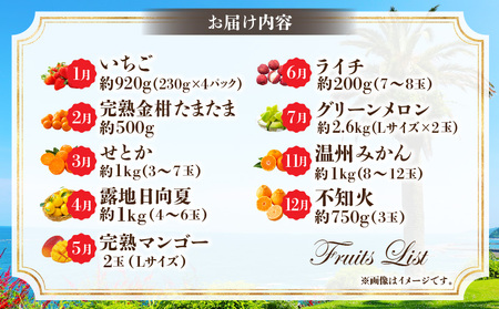 【数量・期間限定】旬のフルーツ9ヶ月定期便vol.1 果物定期便 フルーツ 旬 くだもの 果物 定期便 いちご せとか 日向夏 マンゴー