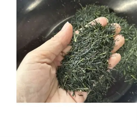 大和茶飲み比べ大満足セット(大和煎茶・芳醇旨み大和茶各2袋ずつ)_飲料・ドリンク 茶葉・ティーバッグ 茶 _【1512627】