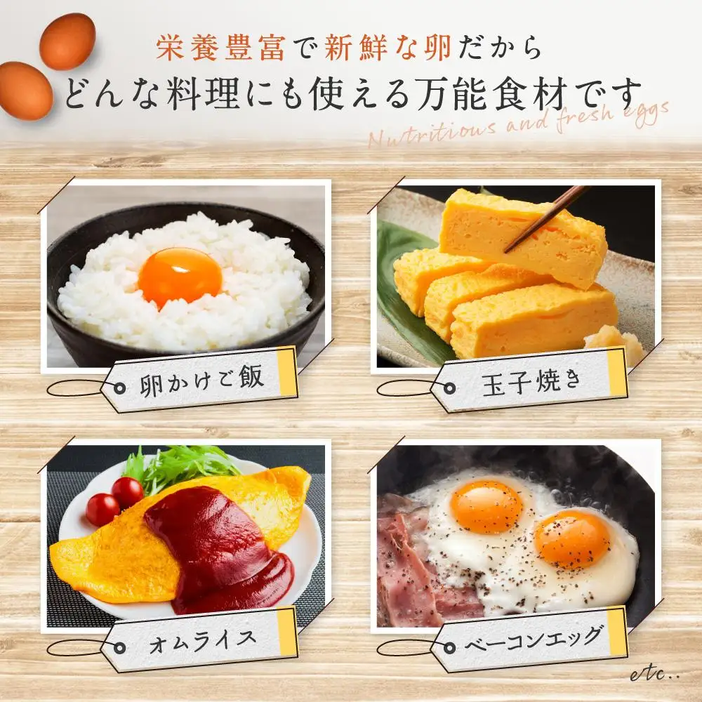 6か月定期便 おいし高原 庭さき卵 Lサイズ 20個入り 【全6回お届け】