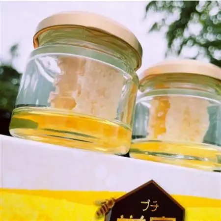 坂井養蜂場　みつばちの雫+プチ巣蜜セット　国産百花蜜300g×2　国産巣蜜30g×2_調味料 はちみつ  ハチミツ 蜂蜜_【1263083】