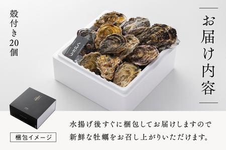 [2027年1月8日より発送！] くばおう 広島県大竹市産 殻付き牡蠣 20個 約4人前 [1734]