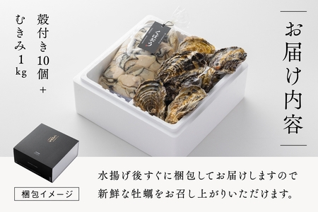 [2027年1月8日より発送！] くばおう 広島県大竹市産 殻付き牡蠣 10個+ むきみ牡蠣 1kg セット [1879]