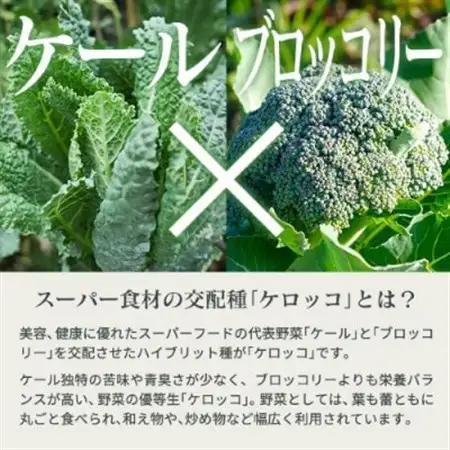 国産 ケロッコパウダー 50g ～ さらっとまるごとケロッコ ～_惣菜・加工品   _【1520285】