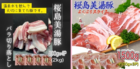 J11-0401／鹿児島県産桜島美湯豚　満腹セット　6回定期便