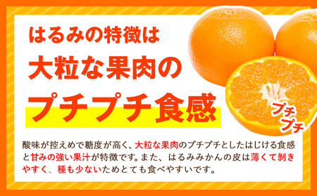 大玉 ご家庭用はるみ約5kg(2L~5L サイズお任せ)