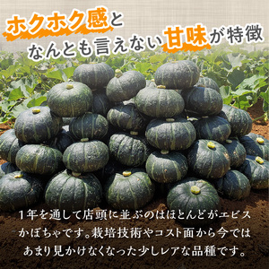 【 2026年 先行予約 】 くりかぼちゃ 4玉 （ 6kg以上 ） C062-003-02 野菜 かぼちゃ カボチャ 南瓜