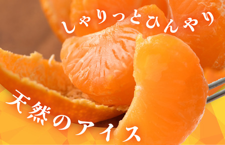 冷凍みかん（16個入り）【V001820】