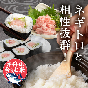 a12-295　令和７年産 ネギトロと相性抜群のお米 きぬむすめ 白米5kg