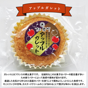 奥久慈からの贈り物「アップルガレット」＆「アップルパイ」各5個　計10個入り｜茨城県 大子町 奥久慈 袋田 お菓子 洋菓子 デザート スイーツ 国産 りんご リンゴ 林檎 カスタード 自家製 （BF020）
