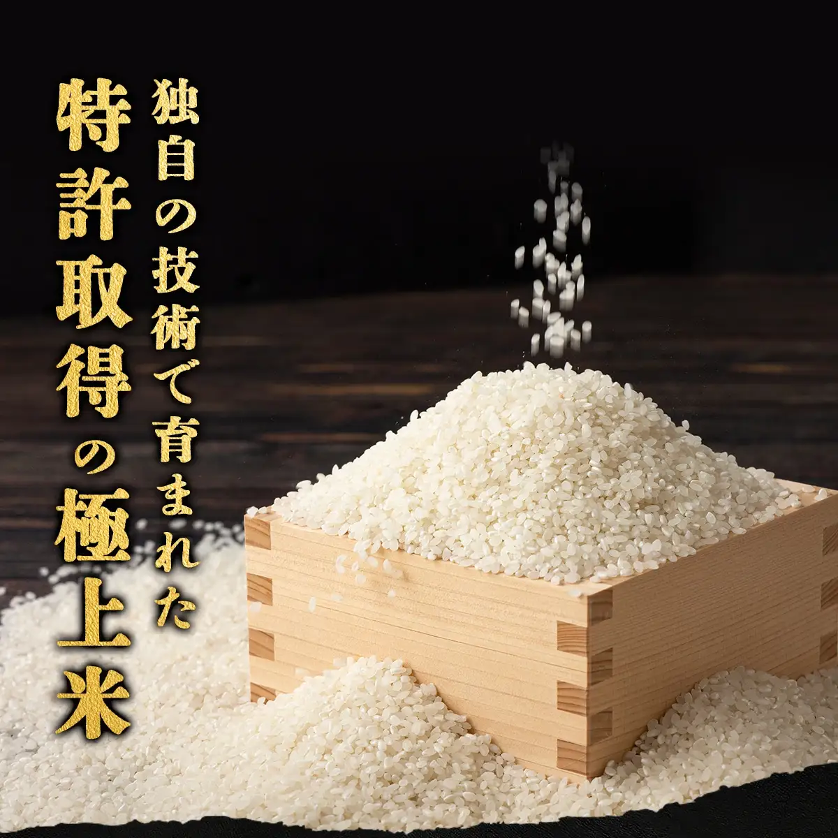 【令和7年産】ズッパーサン精米5kg（5kg×1袋）　100P9007