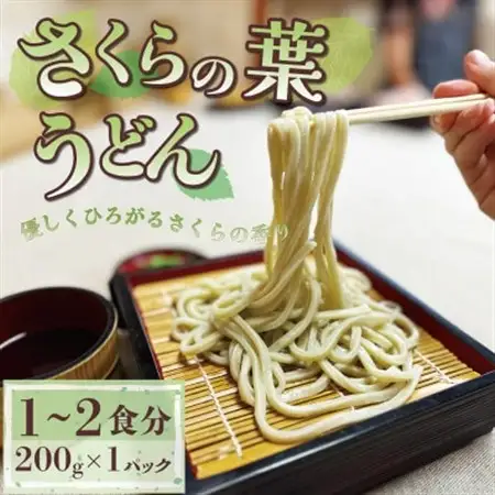 菊水うどん・そば 4種セット (うどん×3、さくらうどん×1、さくらの葉うどん×1、そば×1)_麺 うどん    麺 そば  ソバ 蕎麦_【配送不可地域：離島】【1551515】