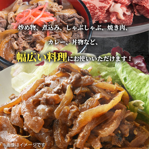 i1000 鹿児島県産 黒毛和牛 切り落とし (計1kg・500g×2パック) 国産 九州産 鹿児島産 黒毛和牛 牛肉 国産牛 切り落とし 切落し 小分け 冷凍配送 【スターゼン】