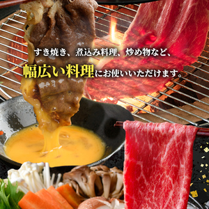 i1004 鹿児島県産 黒毛和牛5等級！カタ(ウデ)スライス(計600g) 国産 九州産 鹿児島産 牛肉 黒毛和牛 赤身 カタ肉 肩肉 ウデ肉 スライス肉 ウデスライス 薄切り すき焼き すきやき しゃぶしゃぶ おかず 個包装 冷凍配送 【スターゼン】