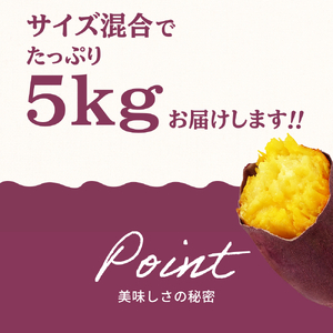 丹波ふるさと村 さつまいも 紅はるか 5kg（サイズ混合・訳あり） さつま芋 サツマイモ Q100