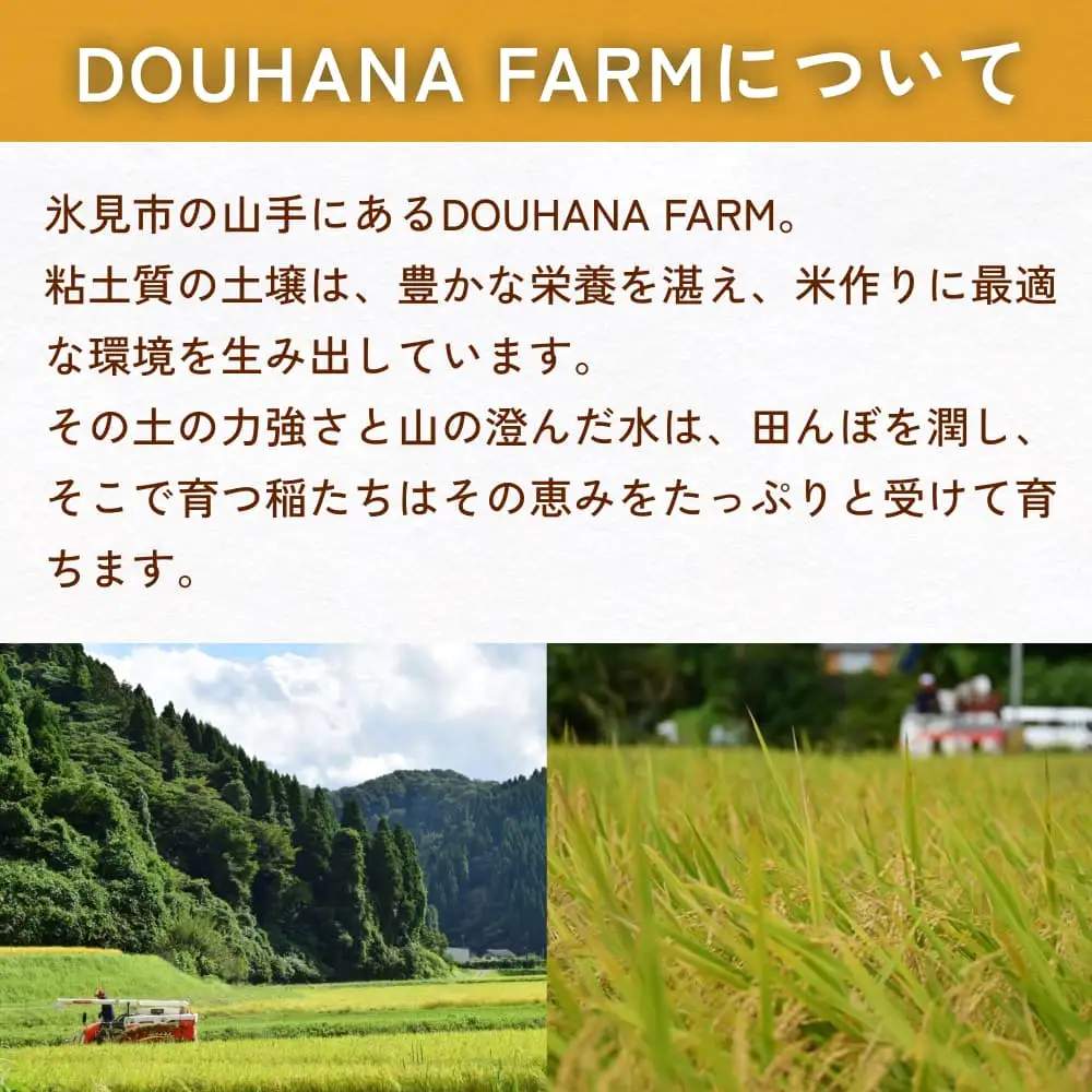 米 令和7年産 富山県氷見産 てんたかく 白米 10kg