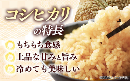 【特別栽培米】五霞町産うまい米コシヒカリ（玄米）6kg ／ 令和7年産 お米 こしひかり 減農薬 減化学肥料 茨城県 認証 取得 健康 環境【価格改定X】