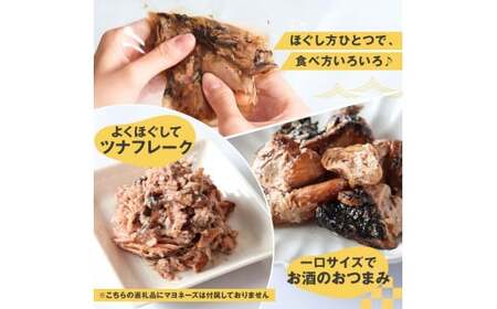 鰹ツナパウチ 100g×20袋セット 100グラム 国産 おにぎり つなまよ ツナマヨ ご飯 お弁当 魚 パスタ サラダ たんぱく質 タンパク質 おやつ かつお カツオ【企業組合　宇佐もん工房】 [BQAB066]