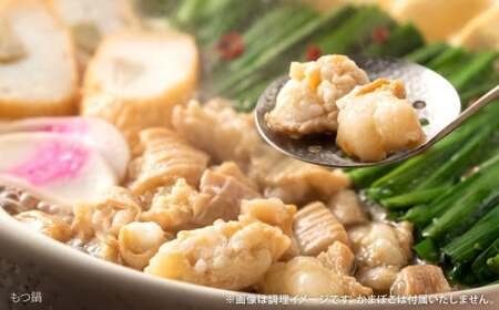 肉ごぼ天うどん 5人前＋もつ鍋 4人前 セット 資さんうどん モツ鍋
