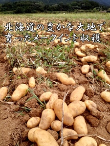 【2026年発送】山下農園のおいしい馬鈴薯「メークイン」　Lサイズ×10㎏　じゃがいも　ジャガイモ　ポテト　農家直送　いも　イモ　芋　北海道産