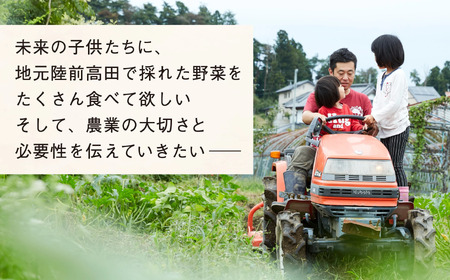 訳あり 野菜セット 約3～4種類 農家のおすそわけ 旬 野菜セット