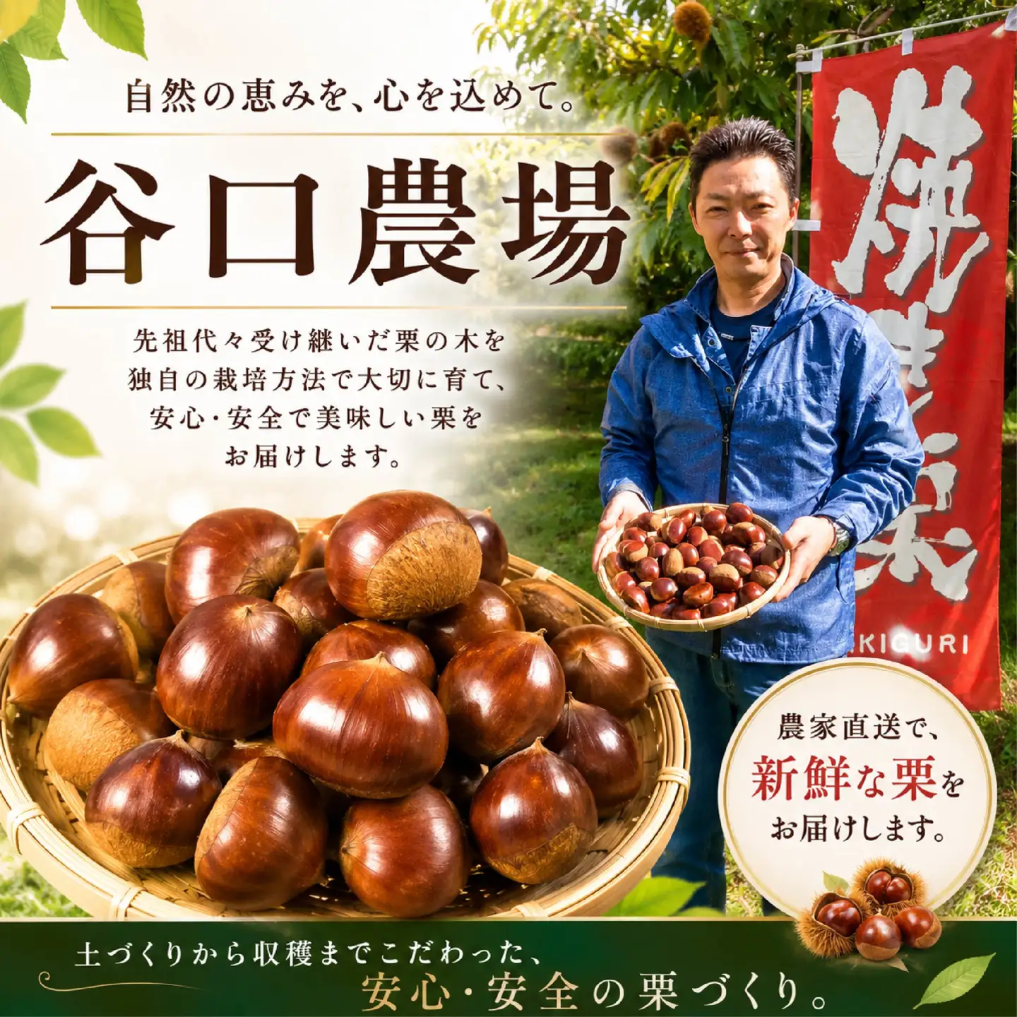 熟成 生栗 約1kg (3Lサイズ)  つやつや 大粒【谷口農場】