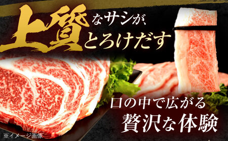 長崎和牛 ステーキ・焼肉セット 600g×2パック / 牛肉 ぎゅうにく 肉 和牛 国産牛 焼き肉 やきにく ステーキ すてーき?/ 諫早市 / 西日本フード株式会社 [AHAV008]