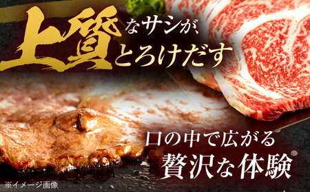 長崎和牛 サーロインステーキ 600g（200g×3枚）/ 牛肉 ぎゅうにく 肉 和牛 国産牛 サーロイン ステーキ すてーき?/ 諫早市 / 西日本フード株式会社 [AHAV009]