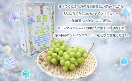 【期間限定】山形市産 冬出し シャインマスカット[12月発送] FY25-915